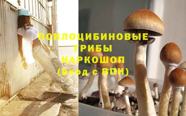 амф Алексин