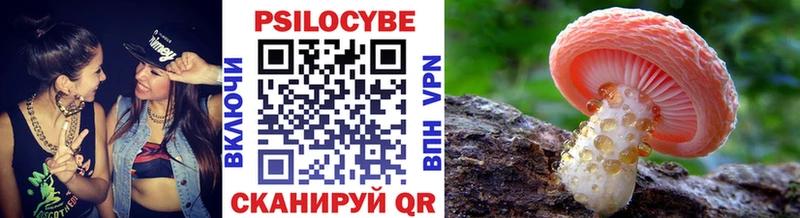 Галлюциногенные грибы Cubensis  Томск 